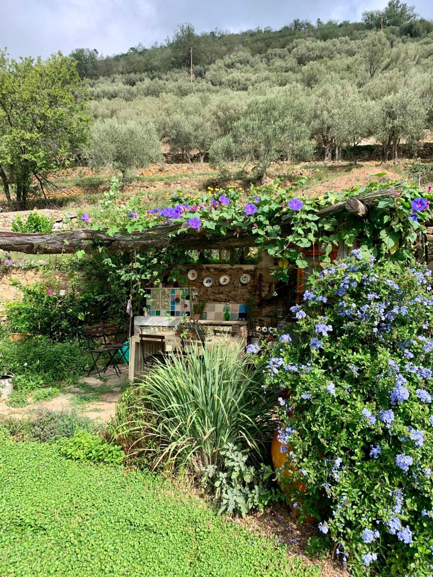 B&B Ca De Badin Noli Εξωτερικό φωτογραφία