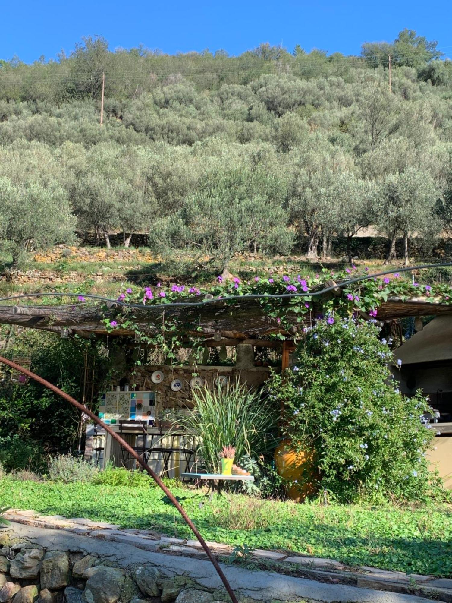 B&B Ca De Badin Noli Εξωτερικό φωτογραφία